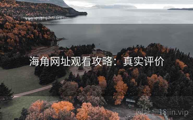 海角网址观看攻略：真实评价