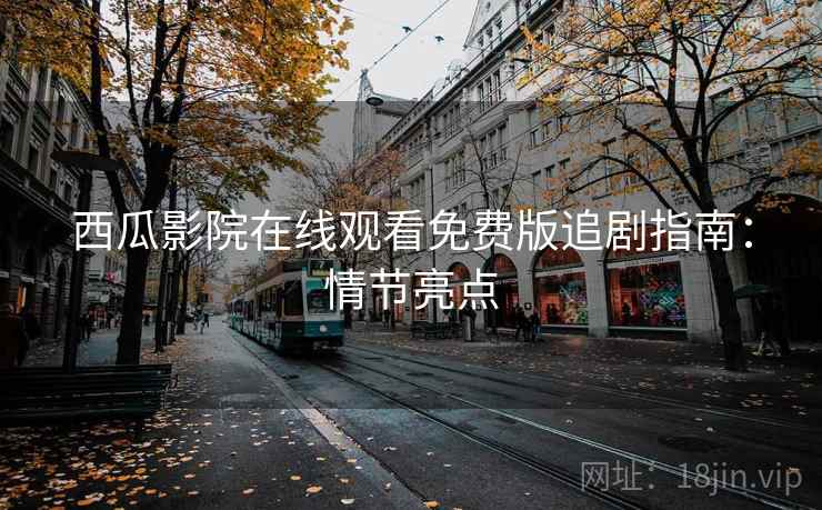 西瓜影院在线观看免费版追剧指南：情节亮点