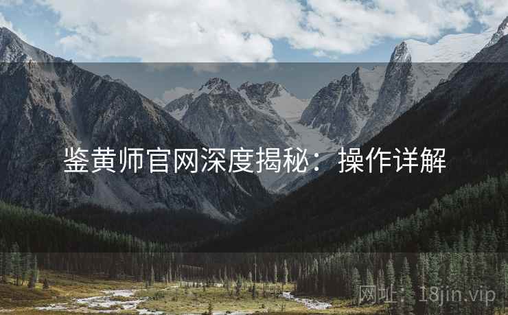 鉴黄师官网深度揭秘：操作详解
